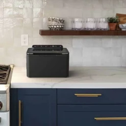 Anova Precision Chamber Vacuum Sealer Sale