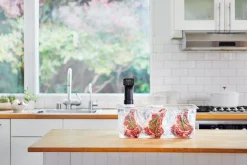 Anova Sous Vide Precision Cooker Pro Discount