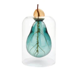 Balvi Avocado Seed Glass Vase Sale
