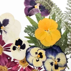 Sous Chef Edible Dried & Pressed Flower & Leaf Mix, 20 pieces Outlet