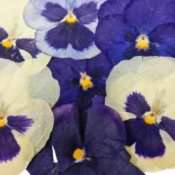 Sous Chef Edible Dried & Pressed Giant Pansies, 8 pieces Sale