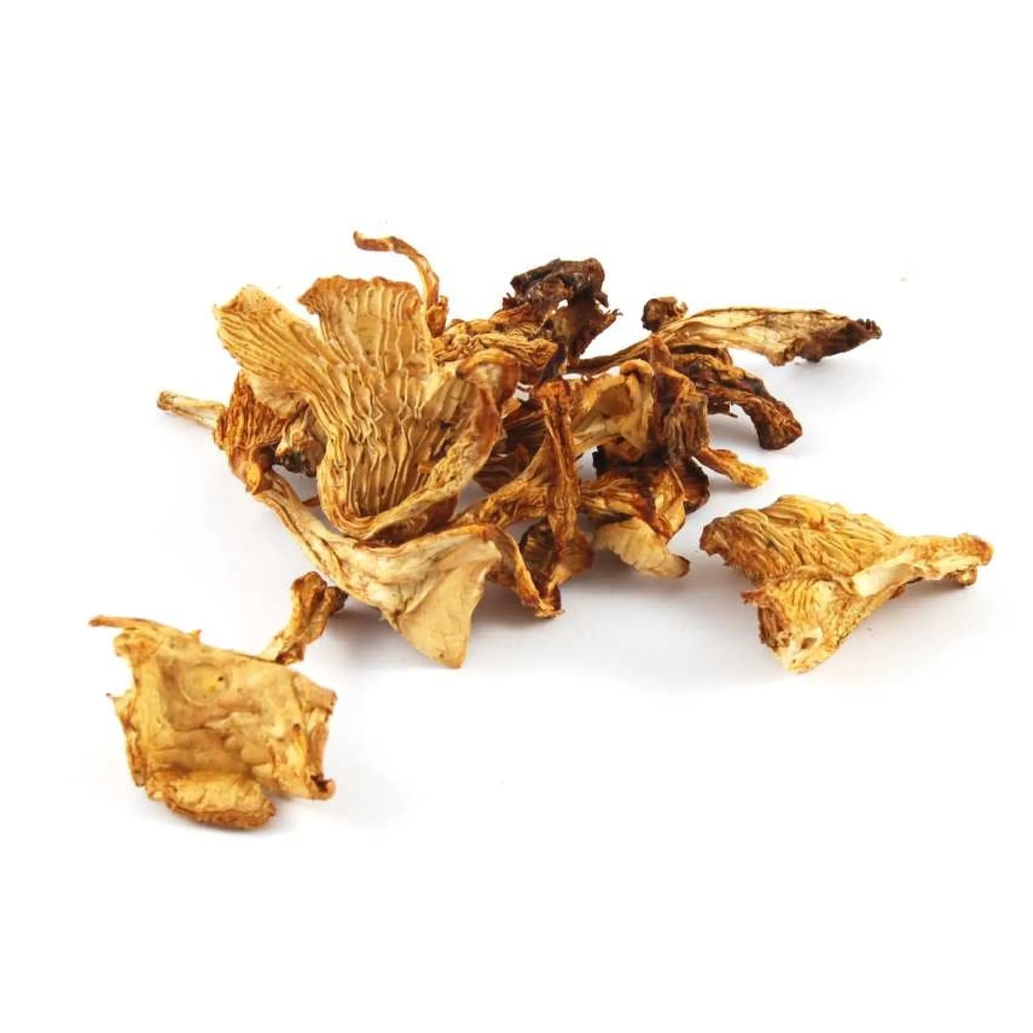 Champiland Girolle Mushrooms, 500g Clearance