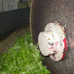 Galantino Puglian Olive Oil with Basil in Terracotta Bottle, 250ml Best