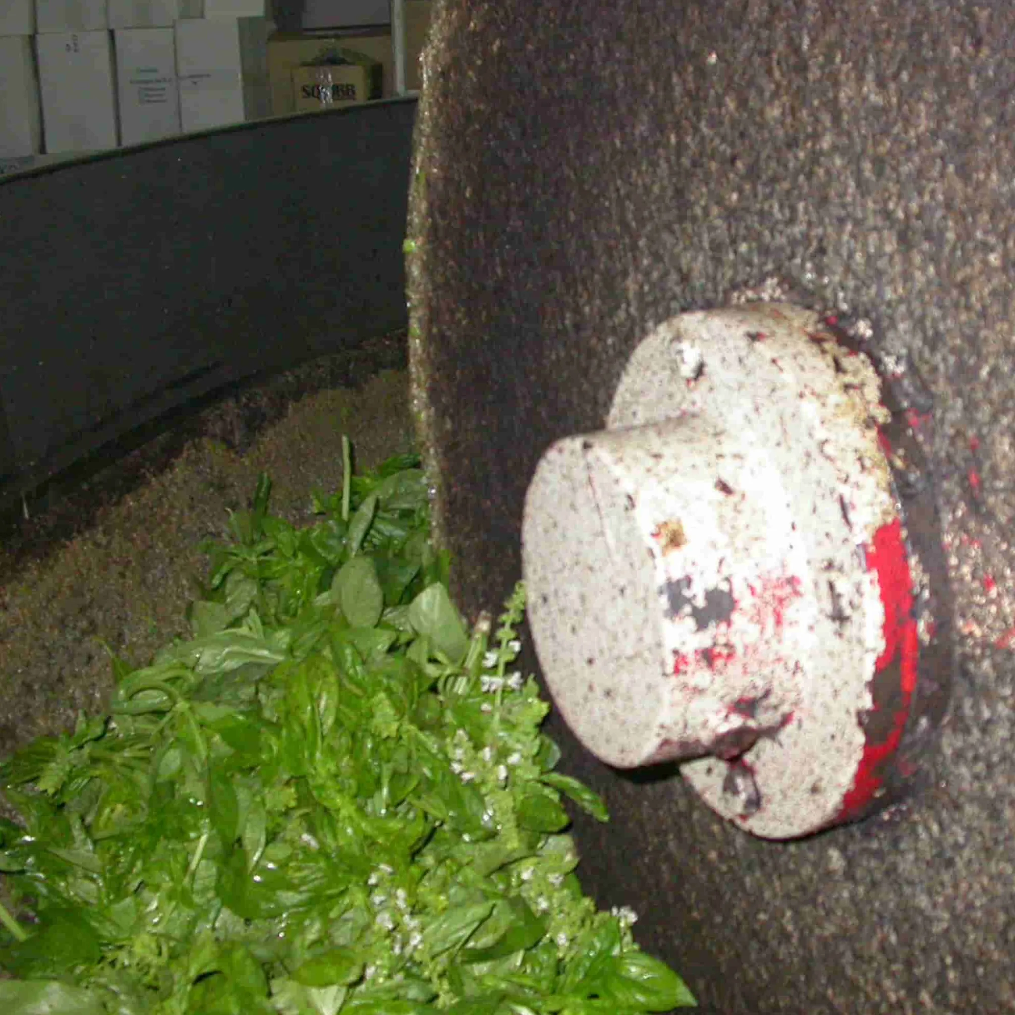 Galantino Puglian Olive Oil with Basil in Terracotta Bottle, 250ml Best