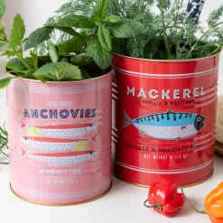 Rex London Set of 2 Mackerel & Anchovies Utensil Jars Clearance