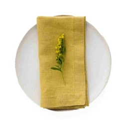 Linen Tales Set of 2 Yellow Linen Napkins Sale