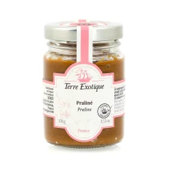 Terre Exotique Praline Paste, 100g New