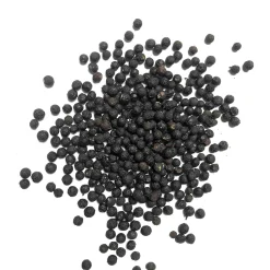 Terre Exotique Verbena Berry, 60g New