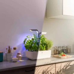 Veritable Classic Indoor Herb Garden Outlet