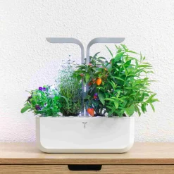 Veritable Classic Indoor Herb Garden Outlet